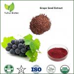 Buy cheap grape seed extract polyphenols,grape seed extract 95%,grape seeds extract proanthocyanidin from wholesalers