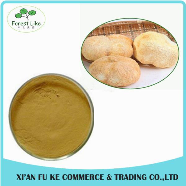 Quality Health Supplement Material Anti-cancer Herb Extract Lion's Mane Mushroom Extract for sale