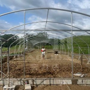 Buy cheap 6x15m High Tunnel Greenhouse With Galvanized Steel Frame For Vegetable Farming from wholesalers