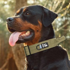 Buy cheap Tactical Dog Collars And Leashes For Medium To Large Dogs In Black from wholesalers