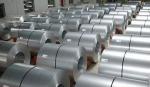 Buy cheap Hot Dip Galvanized Steel Coil , Carbon Steel , Galvanized Hot Rolled Steel Coil from wholesalers