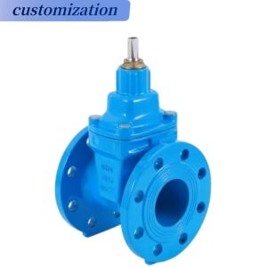 Industrial Applications Ductile Iron Hard Seal Gate Valve with Customized Design