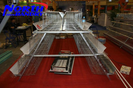 Quality Layer Egg Chicken Cage/Poultry Farm House Design for sale