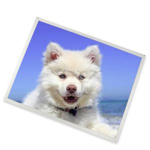 C050SWYG-0 Online One-stop Shopping 5 Inch Lcd Module 480*854 in Stock Lcd