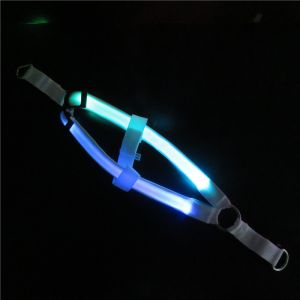 LED dog leash, LED pet products