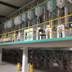 Buy cheap 2TPH Automatic Complete Set Rice Mill Plant Project from wholesalers