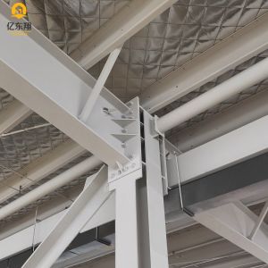 Large Span Steel Frame Building 30m+ with Q355/Q235 Frame