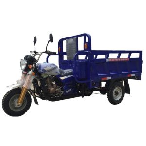 Buy cheap Self Discharging Engine 250cc Gasoline Tricycle from wholesalers