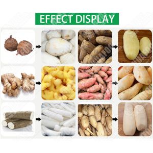 Buy cheap Potato Soft Brush Washing Polished Carrot Taro Stiff Bristle Brush Roll Peeling Cleaning Machine from wholesalers