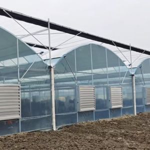 Buy cheap Vegetable Production Po Film Greenhouse with Shading System and 30 Days Return refunds from wholesalers
