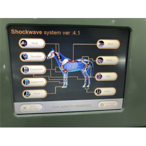 Radial Extracorporeal Equine Shockwave Physiotherapy Machine