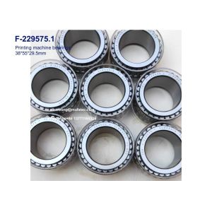 F-229575.1 F-229575 printing machine bearings full complement cylindrical roller