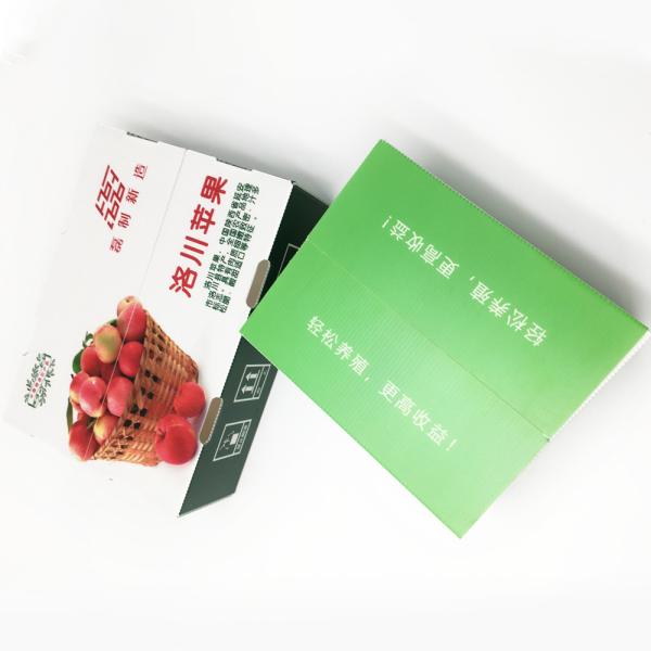 1200gsm Custom Corrugated Carton Recycled Foldable Plastic Packaging Boxes
