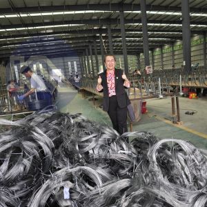 Inconspicuous Obstacle Fence Security Barrier MZP Tangle Barely Noticeable