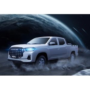 China Hot sale Adventure-ready 2.4L  Petrol Manual 2WD Elite in stock 105 Max Power(kW） on sale