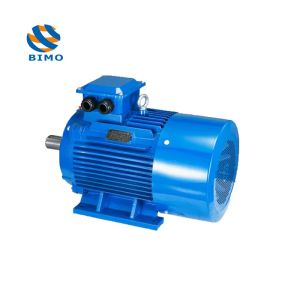Buy cheap 2 Pole 4 Pole 6 Pole 8 Pole Cast Iron Body 315kw Y2 Ye2 Ie2 Y3 Ye3 Ie3 Series Asynchronous Three Phase Induction AC Electrical Electric Motor from wholesalers