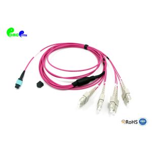 8F OM4 MPO Trunk Cable MPO Female to SC UPC 8F 50 / 125μm Fanout 2.0mm Magenta