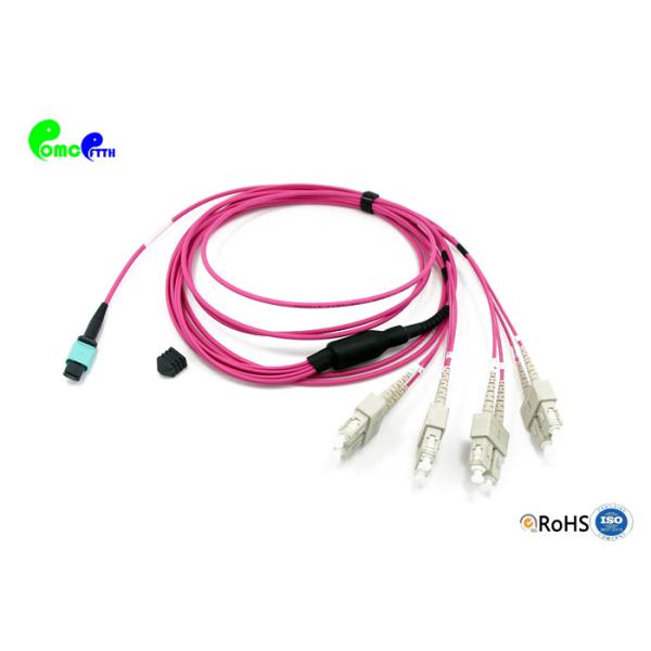 8F OM4 MPO Trunk Cable MPO Female to SC UPC 8F 50 / 125μm Fanout 2.0mm Magenta