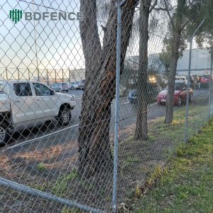 6ft Height Diamond Mesh Chain Link Fence Ideal For Green Garden Farm Square Post