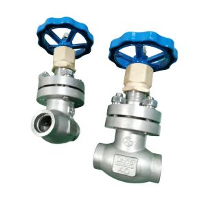 China Cryogenic SUS304 Socket Weld Globe Valve For Liquid Gas on sale