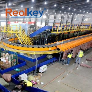 Logistics Sorting System Box Sorting Conveyor Adapt To Various Goods Flexible