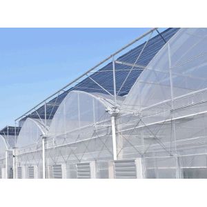 Buy cheap Economical Multi Span Greenhouse / Galvanized Steel Greenhouse High Wind Resistance from wholesalers