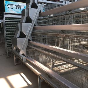 Buy cheap 4 Tier Automatic Chicken Cage Manure Remover A Type Silver White from wholesalers
