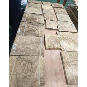 Buy cheap Golden Madrone Burl Veneer | 0.45mm | LINGFENG from wholesalers