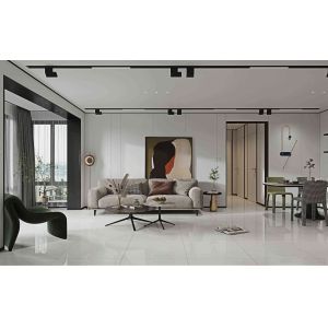 Light Gray Polished Glazed Porcelain Tile 800x800mm