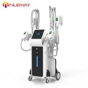 Buy cheap Coolsculpting 4 Handles cryolipolysis fat freezing device vacuum fat cellulite machines for body slimming from wholesalers