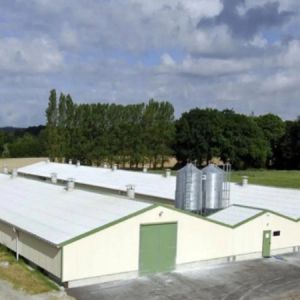 Buy cheap Automatic Prefab Steel Structure Chicken House Q235 Q345 Steel Frame Shed House from wholesalers