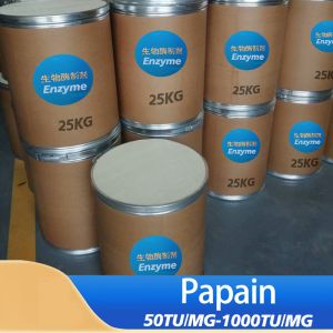 Buy cheap Papaya Papain Enzyme 300USP-6000USP Papaya Extract Protease Powder from wholesalers