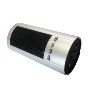 Wireless portable Powerful mini FM speakers Support Micro SD card (BT-S035)