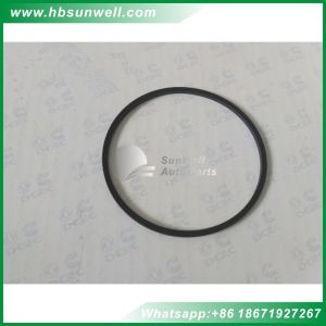 Buy cheap 3820946 3820029 Cummins engine M11 ISM QSM11 Gear Housing Rectangular Ring Seal for Marine used from wholesalers