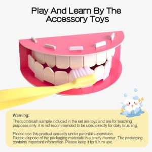 ASTM Brushing Teeth Model For Homeschool Learning