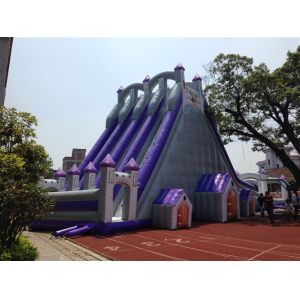 Buy cheap Big 12 People Tarpaulin 0.55mm Commercial Inflatable Water Slides from wholesalers
