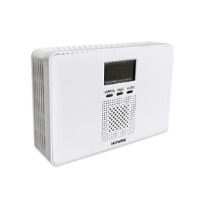 Kitchen Visual Audible CO Alarm Detector Carbon Monoxide And Gas Detector