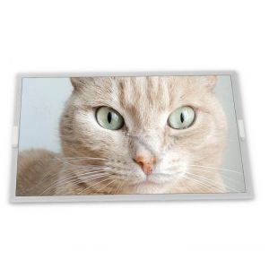 Buy cheap M238HAN03.5 Panel 23.8 Inch 1920*1080 A-Si TFT-LCD Desktop Monitor New and Original from wholesalers