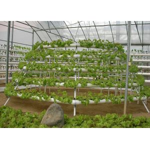 Buy cheap Easy Maintenance Nutrient Film Technique System With Strong Adaptability product