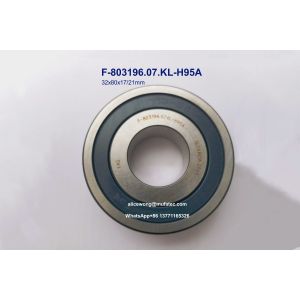 F-803196.07.KL-H95A 6TS2-SX06C12LLH1 05098879AA auto gearbox bearing deep groove
