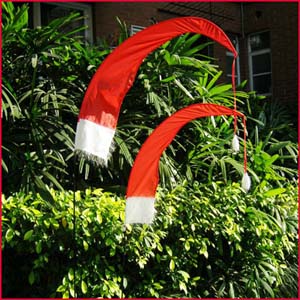 Buy cheap Holiday Christmas Yard flag Santa Hat product