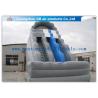 Buy cheap Kids / Adults Double Inflatable Water Slide With Small Pool For Summer Games from wholesalers