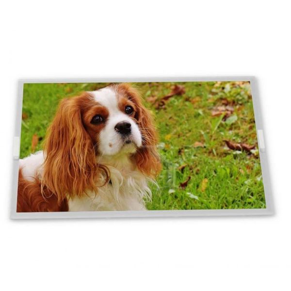 Quality Parallel RGB 7.0\" TM070RDH13-40 TFT WLED LCD Display for sale