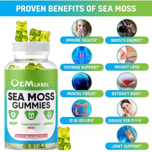 Wholesale Private label sea moss gummies Plus Organic Bladderwrack and Burdock