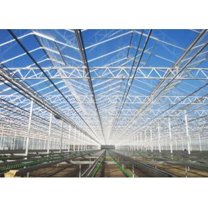 Buy cheap Single Layer Glass Venlo Type Greenhouse Equipped With Hydroponic Technology from wholesalers
