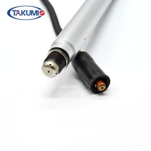 Prechamber Spark Plug MWM TCG2016 8holes Natural gas