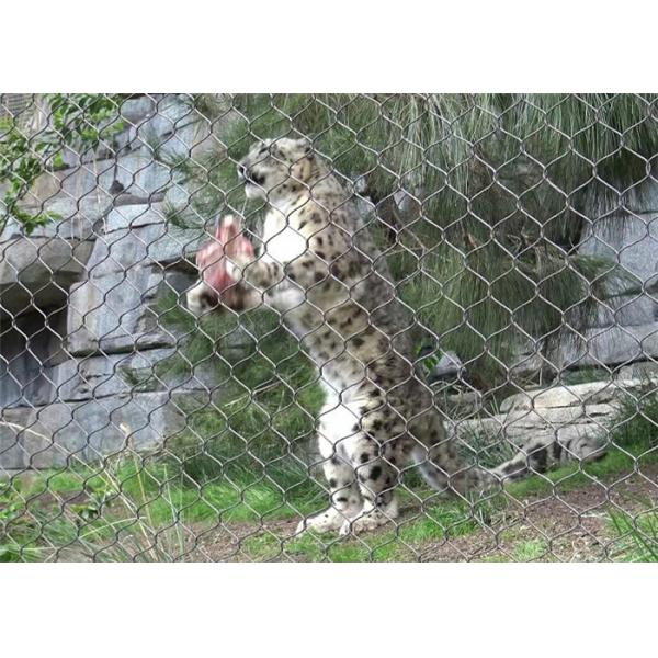 Buy cheap SS 304 Wire Rope Mesh For Lion Enclosure Mesh from wholesalers