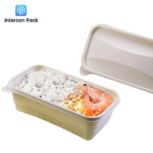 Takeaway Sugarcane Bagasse Food Container Biodegradable Disposable With