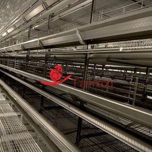 Buy cheap Sufficient Illumination Layer Chicken Cage System Growth Enhancement from wholesalers