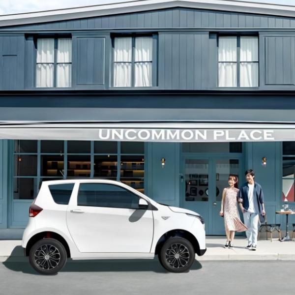 Quality EEC Approved Solar Electric Car Solar 2 Low Usage Cost 2 Doors 2 Seats Mini Car for sale